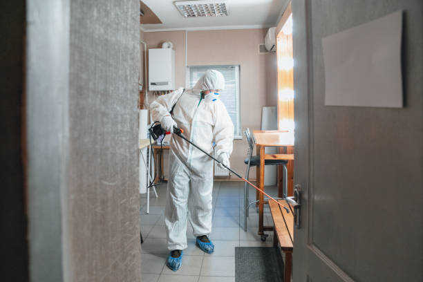 Best Indoor Air Quality Assessment  in Hillsville, VA
