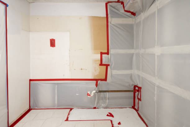 Best Asbestos and Lead Testing During Mold Inspection  in Hillsville, VA