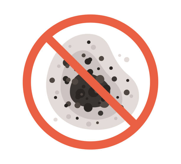 Best Dehumidification Services  in Hillsville, VA