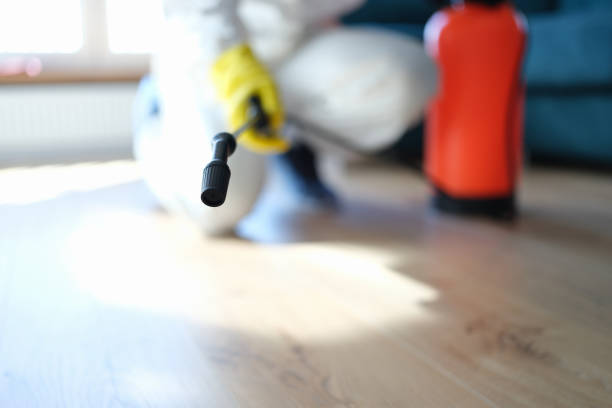 Best Industrial Mold Remediation  in Hillsville, VA