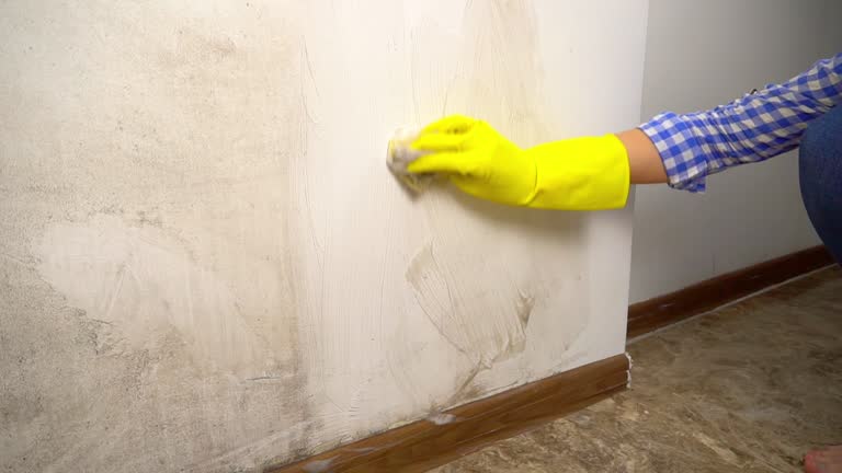 Best Mold Removal for HVAC Installations  in Hillsville, VA