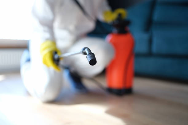 Best Post-Construction Mold Inspection  in Hillsville, VA