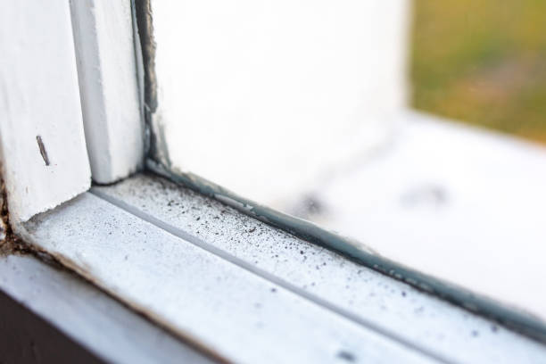 Best Mold Documentation for Insurance Claims  in Hillsville, VA