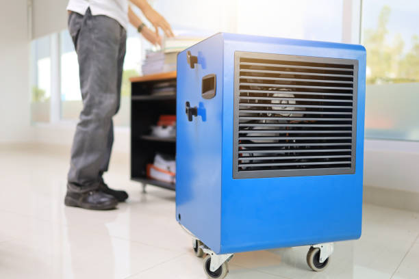 Best Air Quality Testing for Mold Spores  in Hillsville, VA