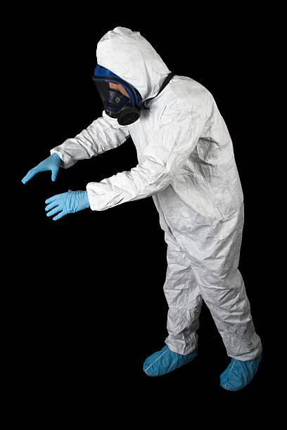 Best Mold Damage Restoration  in Hillsville, VA