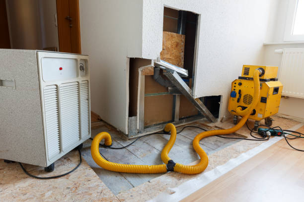 Best HVAC Mold Inspection and Cleaning  in Hillsville, VA