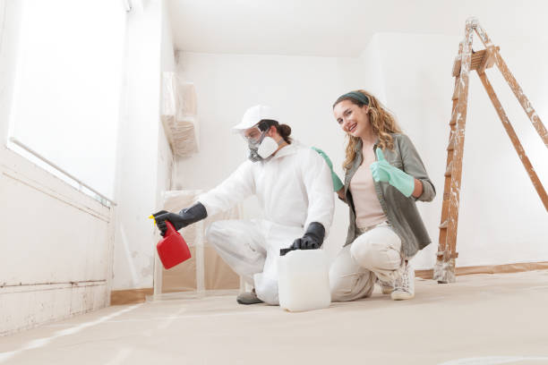 Best Post-Construction Mold Inspection  in Hillsville, VA