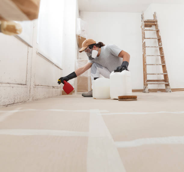 Best Mold Removal for HVAC Installations  in Hillsville, VA
